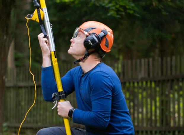 wycinka drzew warszawa